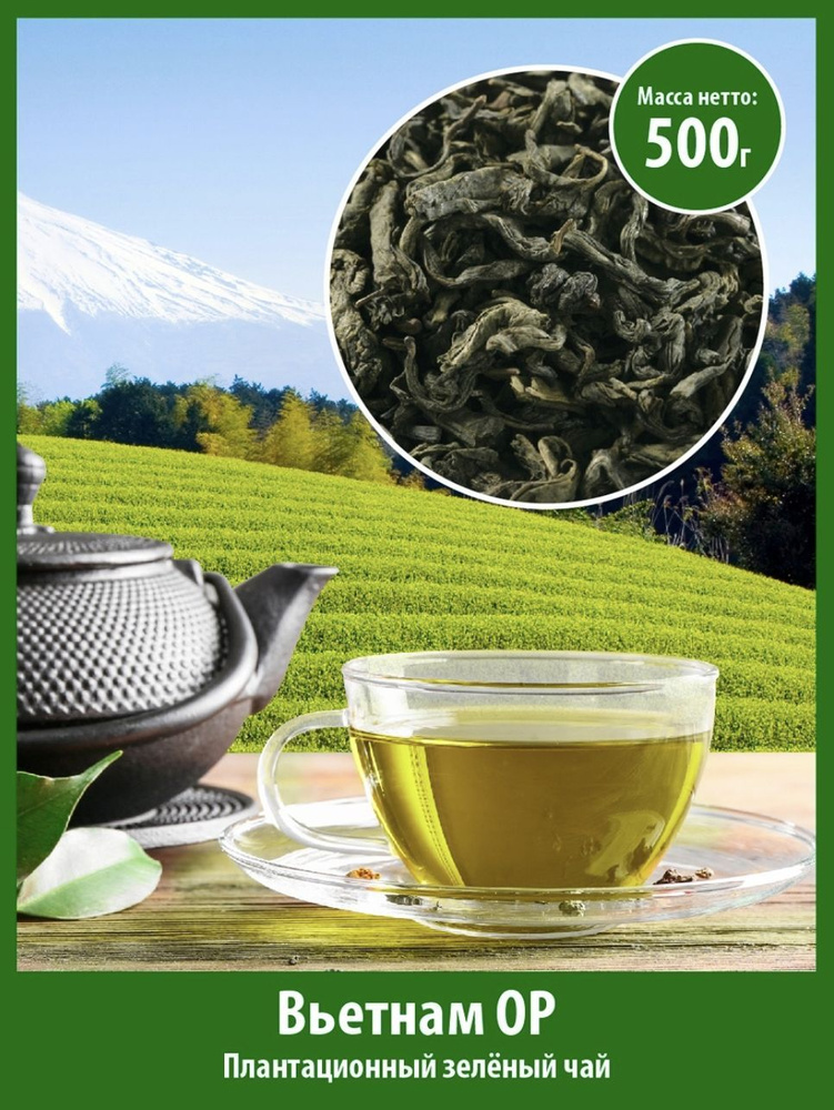 Плантационный зелёный чай Вьетнам OP 500 г #1