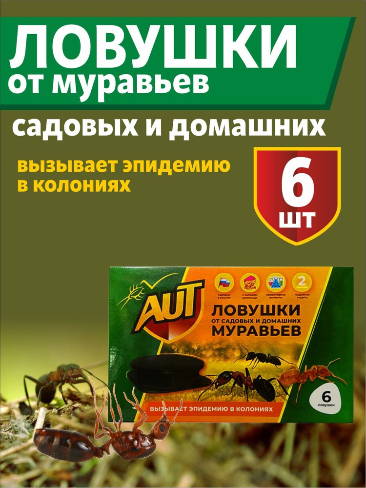 Мини «Аргус»