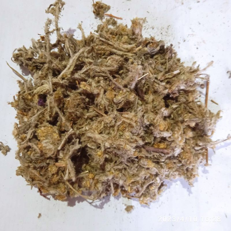 Сушеница топяная трава 50 грамм #1