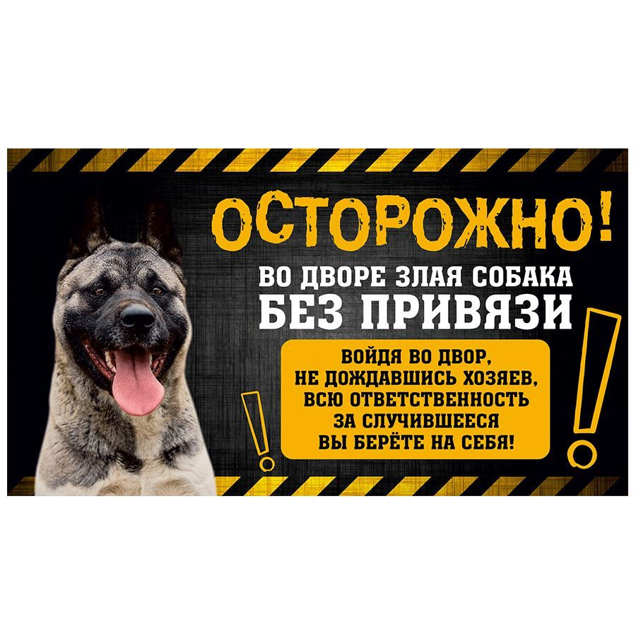 Табличка, с юмором, прикол, DANGER DOG, Осторожно! Во дворе собака без  привязи, Американская акита, 25x14 см