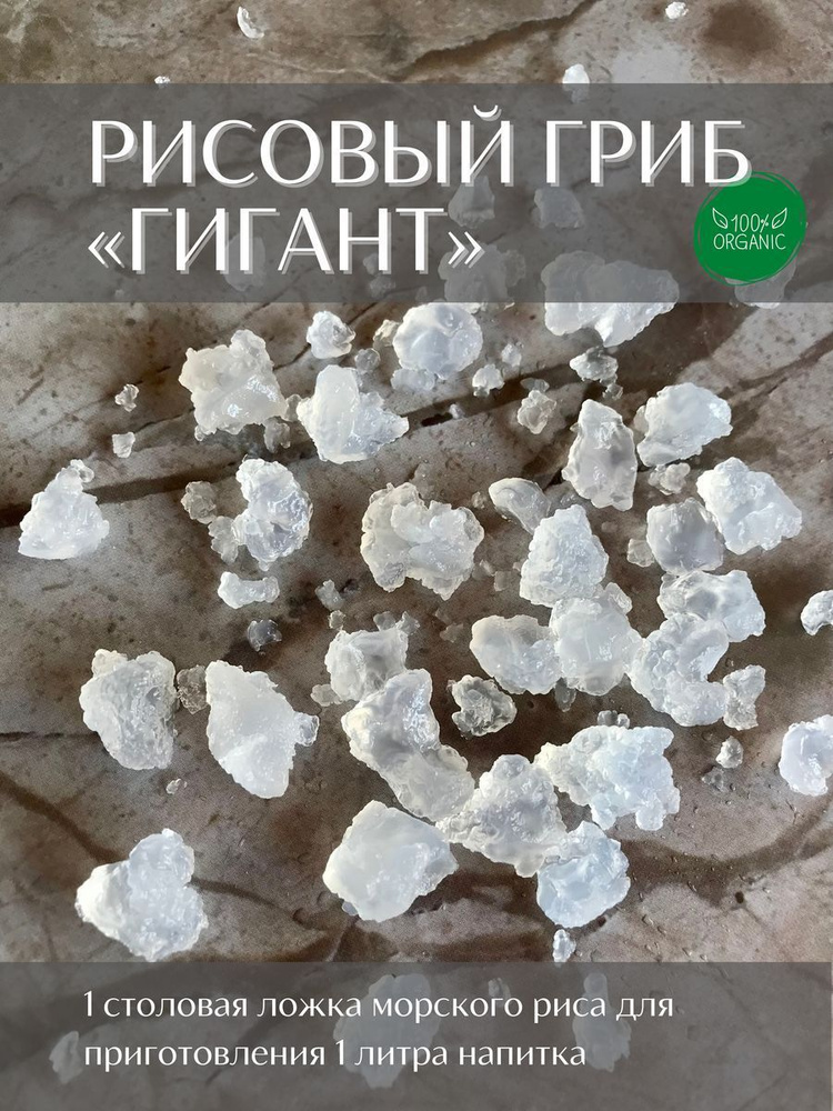 КОМБУЧА Набор для выращивания купить на OZON по низкой цене (1089767653)