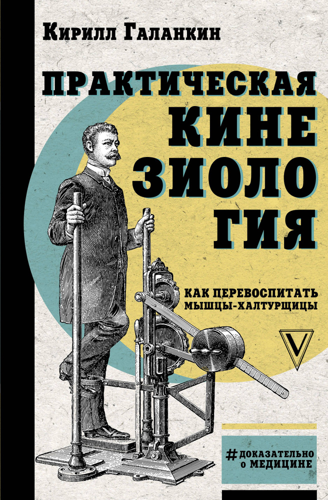 Практическая кинезиология: как перевоспитать мышцы-халтурщицы | Галанкин Кирилл  #1