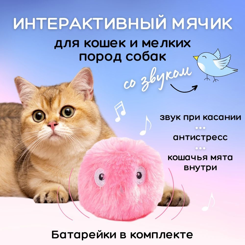 Интерактивная игрушка для кошки, мячик с мятой со звуком птиц для кошек и  собак с кошачьей мятой. Игрушки для кошек - купить с доставкой по выгодным  ценам в интернет-магазине OZON (844410878)