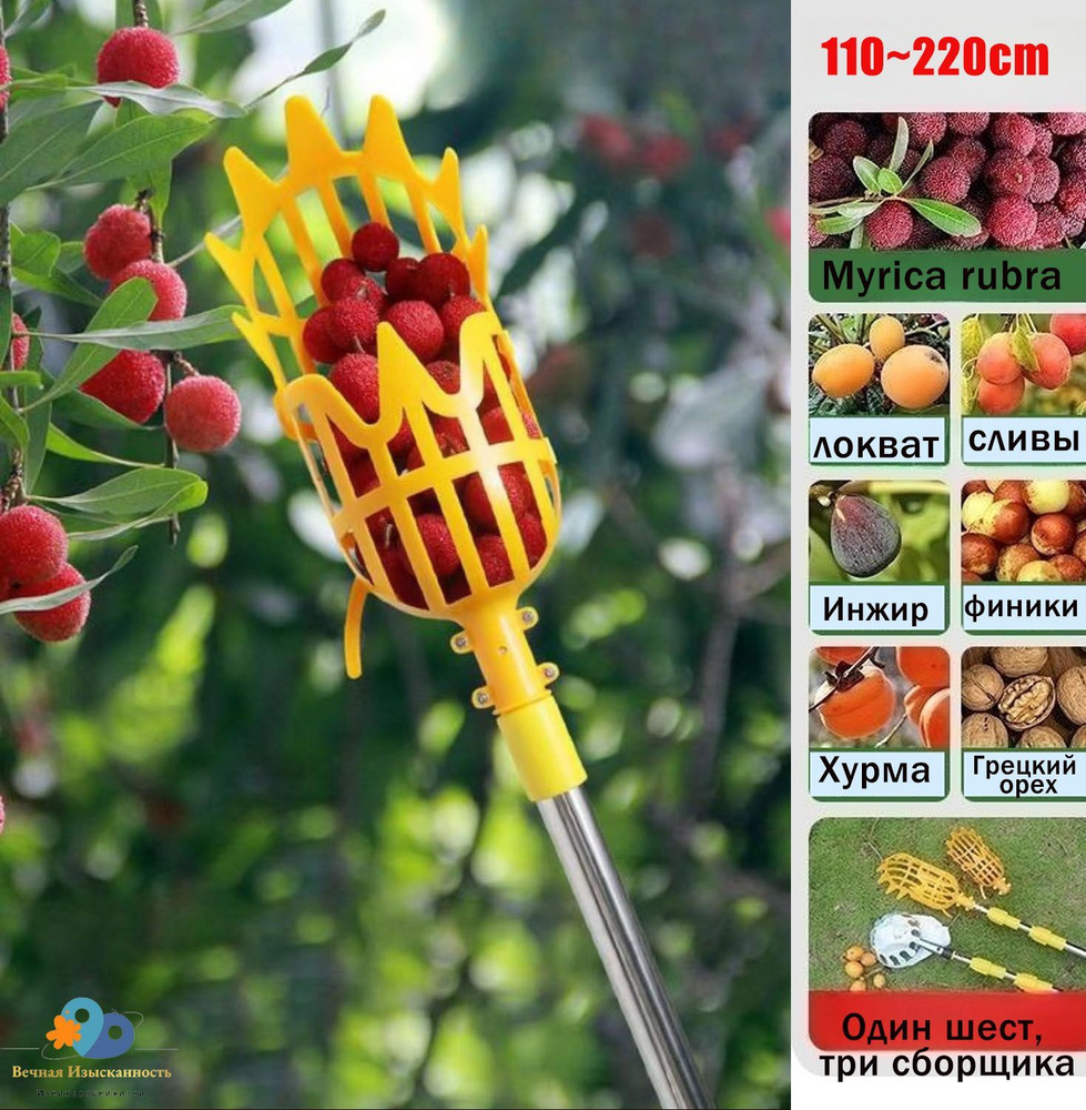 плодосъемник для яблок фруктов внутренний D 170-200мм для груш, режущий .