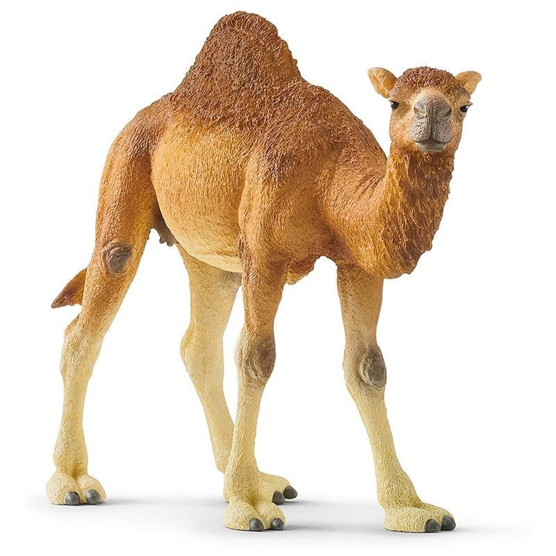 SCHLEICH 14832 Фигурка Одногорбый верблюд Дромадер #1