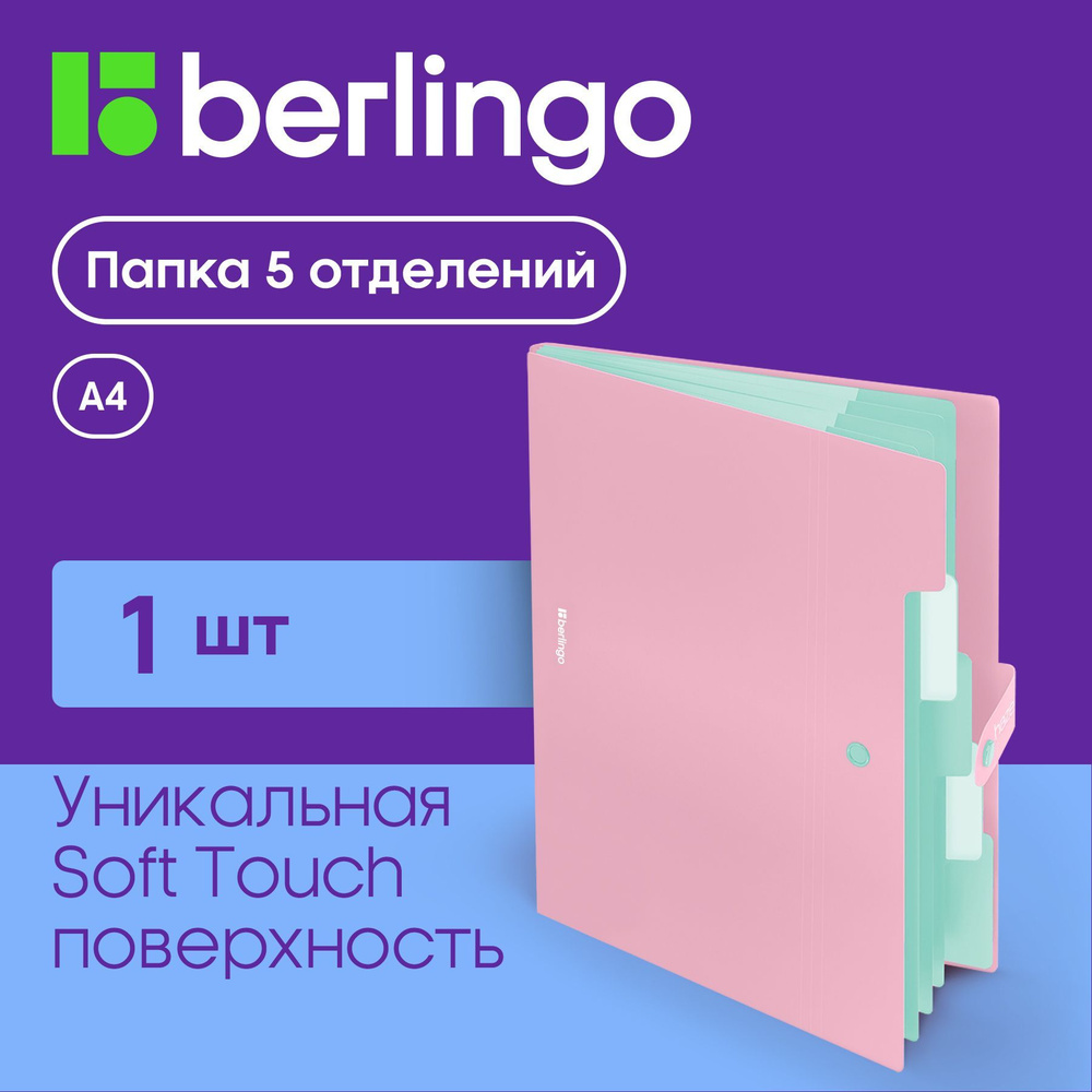 Папка органайзер для документов Berlingo Haze, 5 отделений, семейная, А4, на кнопке, розовая, софт-тач #1