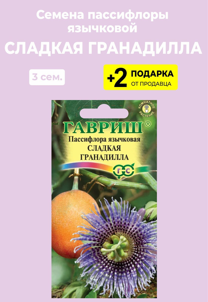 Как выращивать пассифлору в домашних условиях? Видео — Ботаничка