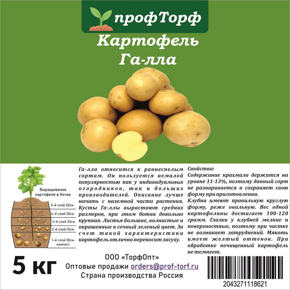 Картофель галактика описание. Семена картофеля Гала. Картофель Галактика. Картофель Санте. Семенной картофель в интернет магазинах.