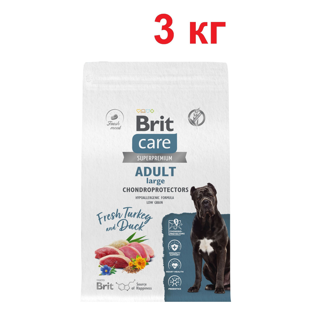 Brit care puppy large store breed lamb & rice