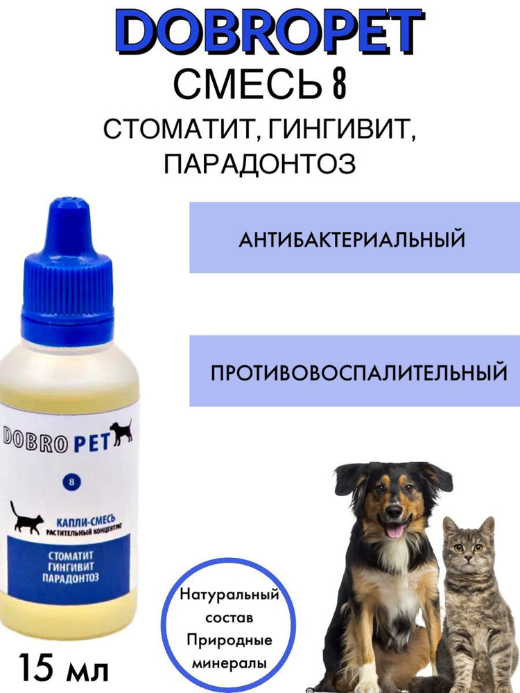 Стоматит у кошки. Что делать?