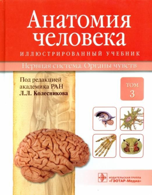 Анатомия человека. Учебник в 3-х томах. Том 3. Нервная система. Органы ...