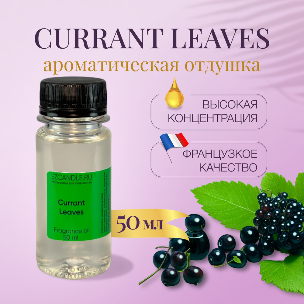 Отдушка Листья Смородины (Currant Leaves) 50 мл EZCANDLE для ароматических  свечей, мыловарения, бомбочек, диффузоров, спреев, косметики и парфюмерии -  купить с доставкой по выгодным ценам в интернет-магазине OZON (558775825)