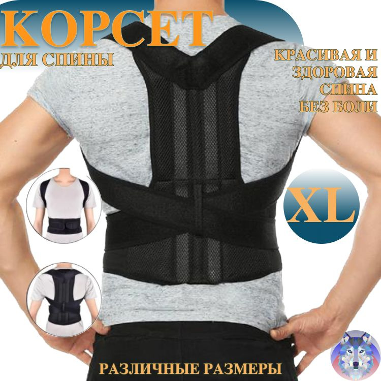 Универсальный корректор осанки ортопедический / корсет для спины XL  #1