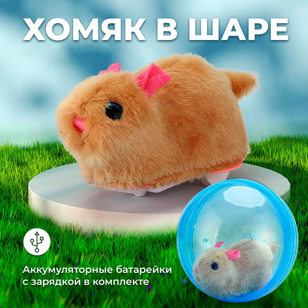 Мини-игра в Hamster Kombat (хомяк) сегодня — Крипто на ropejumpingvrn.ru