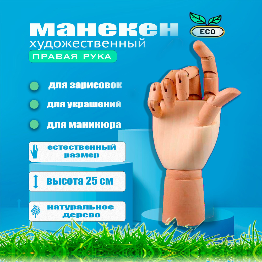 Манекен художественный Рука человека Левая 25 см. - купить с доставкой ...