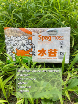 New Zealand Sphagnum Moss (100 grams) by besgrow