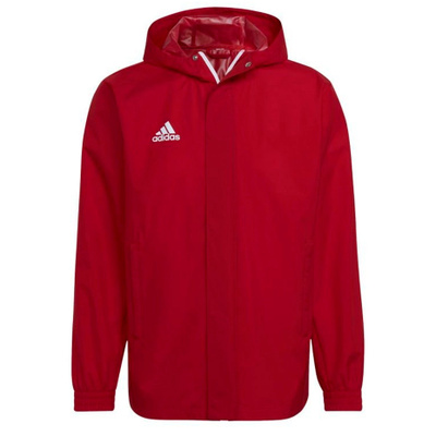 Adidas clothing jackets online