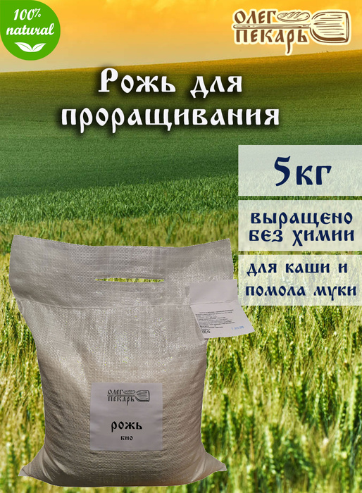 Рожь цельное зерно Шугуровское Олег Пекарь, 5 кг. - купить с доставкой ...