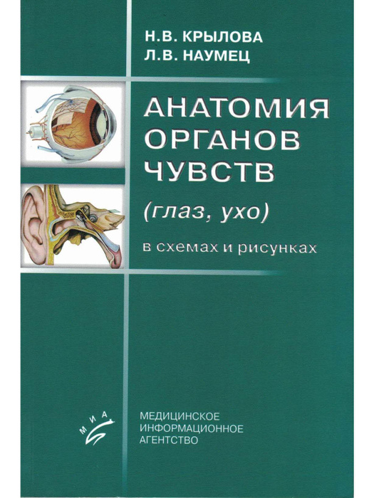 Анатомия органов чувств (глаз, ухо) в схемах и рисунках - купить с ...