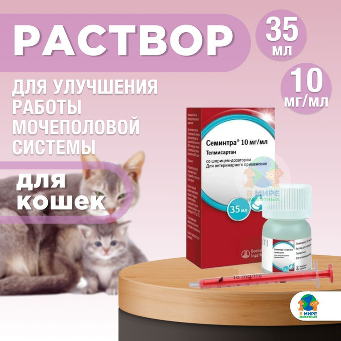 Купить нефроантитокс для кошек