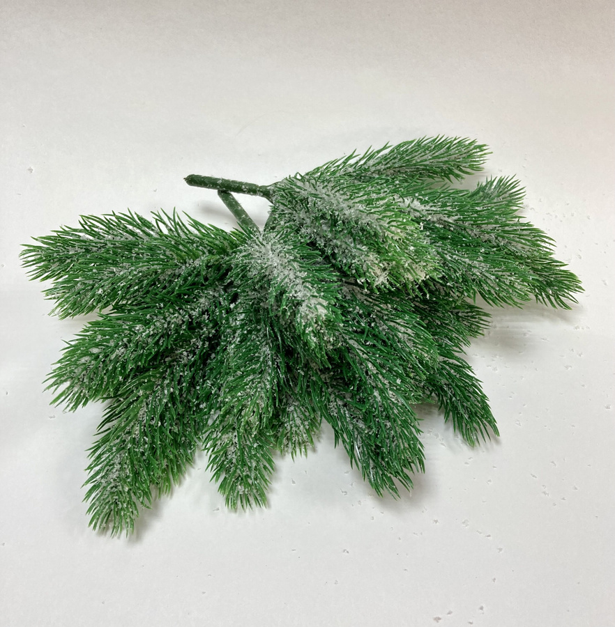 Хвойные растения макросъемка. Трава елка. Растение в виде елочки. Трава елка. Трава елочка в маринаде.