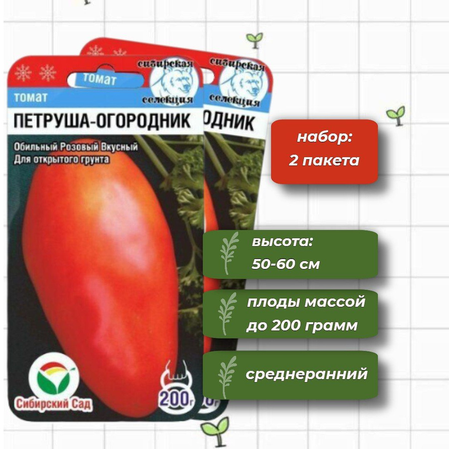 Помидор петруша огородник фото описание отзывы. Томат Петруша огородник Сибирский сад. Петруша-огородник томат описание. Петруша-огородник томат описание и фото.