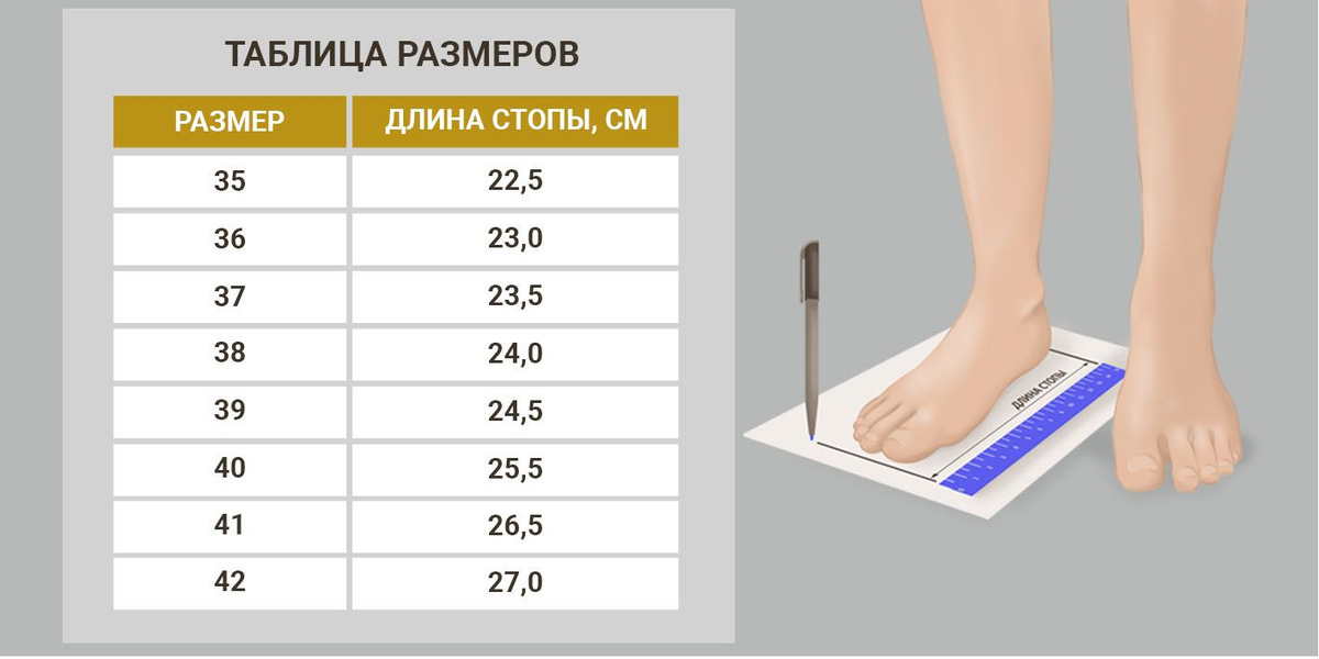 Текстовое описание изображения