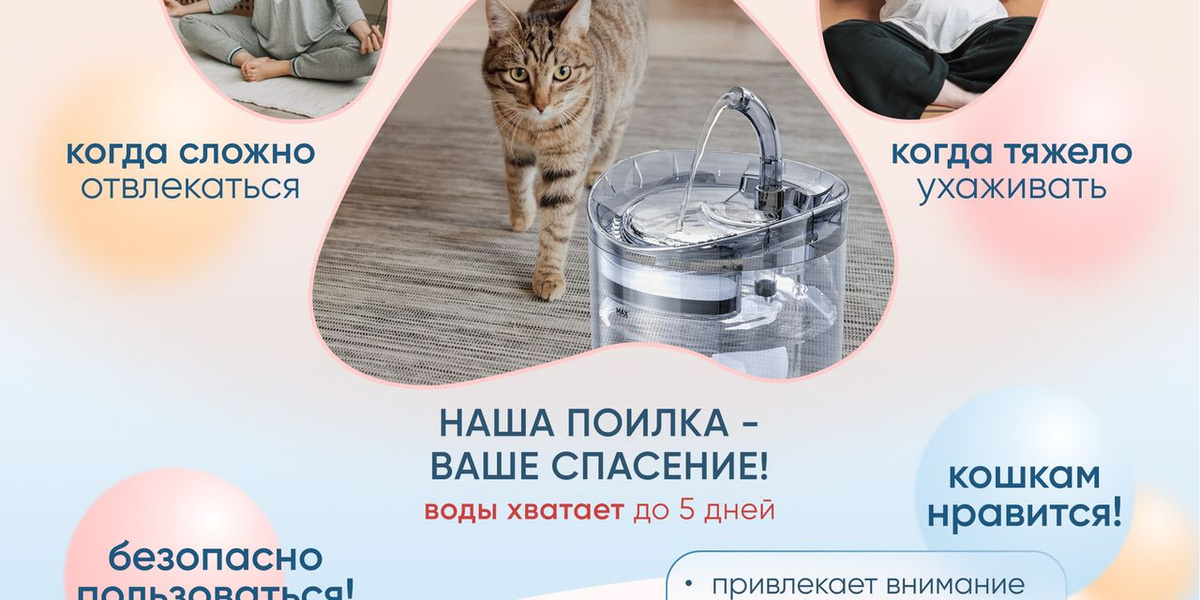 Текстовое описание изображения