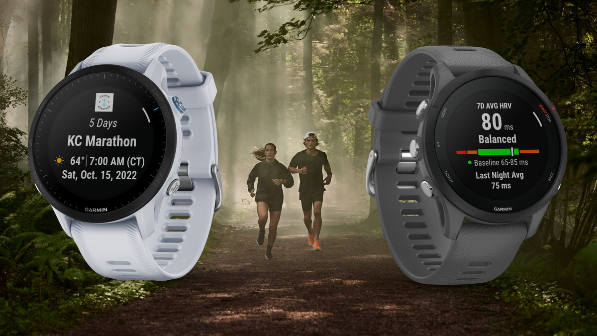 Купить смарт-часы Garmin Forerunner 955, экран 1.3" - купить по низким ...