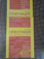Русский язык в алгоритмах и таблицах. Орфография. Пунктуация (комплект ...