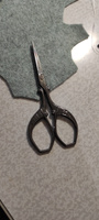Ножницы вышивальные PREMAX V7116Q (9 см / 3,5'') для вышивки и рукоделия #4, Ирина Д.