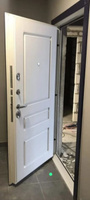 Дверь входная металлическая DIVA 97/3 2050x960 Левая Дуб Графит - Д13 Белый Софт, тепло-шумоизоляция, антикоррозийная защита для квартиры, УТ-00074988 #5, Ильнур И.