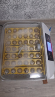 Инкубатор HHD 42A для яиц кур, перепелов с автоматическим переворотом, контролем температуры и влажности / Пластиковый корпус #6, Маргарита Р.