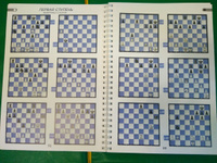 Двойной удар в шахматах #8, Регина А.