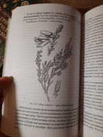 Лекарственные растения и способы их применения в народе (1960) #4, Елена Ч.