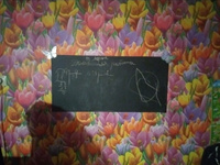 Доска для рисования мелом самоклеящаяся + 5 цветных мелков Paterra, 45*200 см #5, Наталья С.