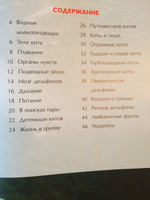 Киты и дельфины. Детская энциклопедия. Познавательная книга о природе для младших школьников | Дэвидсон Себастьян #5, Елена Гойлова