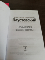 Теплый хлеб. Сказки и рассказы | Паустовский Константин Георгиевич #4, Юлия Н.