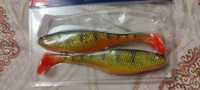 Мягкие приманки Narval Commander Shad 14cm #019-Yellow Perch #19, Антон Т.