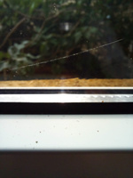 Окно ПВХ РЕХАУ, высота 1000 х ширина 800 мм, профиль REHAU, одностворчатое, глухое, мультифункциональный стеклопакет, белое #15, Тоня К.