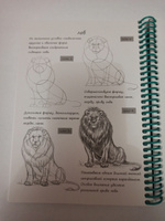 Блокнот Prof-Press Рисуй легко - Животные, пошаговые уроки, А5, 64 листа на цветной спирали #2, Марина Г.