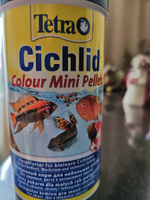 Корм Tetra Cichlid Colour Pellets Mini 500 мл (шарики мелкие) для небольших цихлид, усиливает яркость окраски #45, Драган