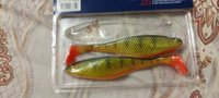 Мягкие приманки Narval Commander Shad 14cm #019-Yellow Perch #20, Антон Т.