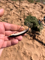 Блесна для рыбалки колебалка незацепляйка RAPALA Minnow Spoon 07 цвет SD 7 см. - 15 гр приманка #21, Александр С.