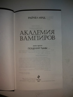 Академия вампиров. Книга 3. Поцелуй тьмы | Мид Райчел #7, Дарья