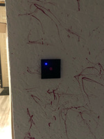 Умный сенсорный WiFi выключатель, черный, умный дом, работает с Яндекс Алисой, голосовое управление, одноклавишный, с конденсатором #50, Сергей А.