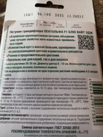 Петуния крупноцветковая ПЕНТАЛЬФА БЛЮ ВАЙТ ЭДЖ (Семена БИОТЕХНИКА, 15 шт. семян в упаковке) #2, Ольга П.