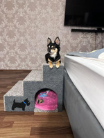 Лестница для собак и кошек полностью из ДСП + ковролин с уютным домиком (55*44*46) #7, Алексей К.