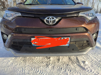 Зимняя заглушка решётки переднего бампера Toyota Rav4 2015 - 2020 г. #26, Алексей А.