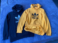 Толстовка adidas Originals Trefoil Hoody #14, Anton H.